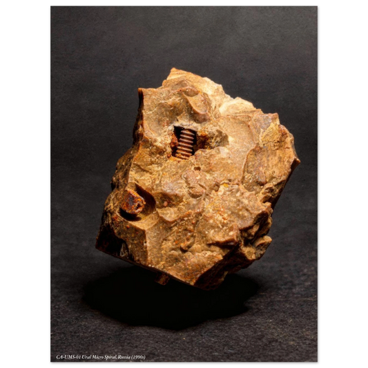 2081c5c8-23f3-4fb7-a1ef-0eca1a06e41f