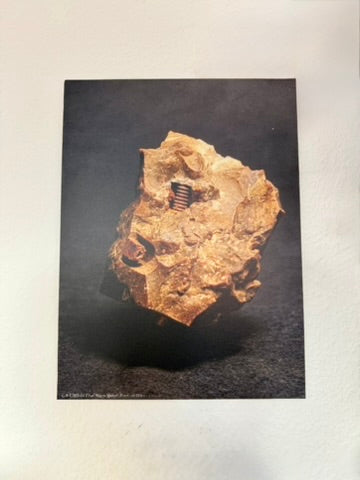 Ural Micro Spirals — Forensic Reconstruction | Russian Geological Find (1990s) - Foam Print