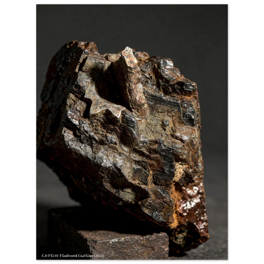 c67c5e86-64e9-4563-9322-a319fd1ee477